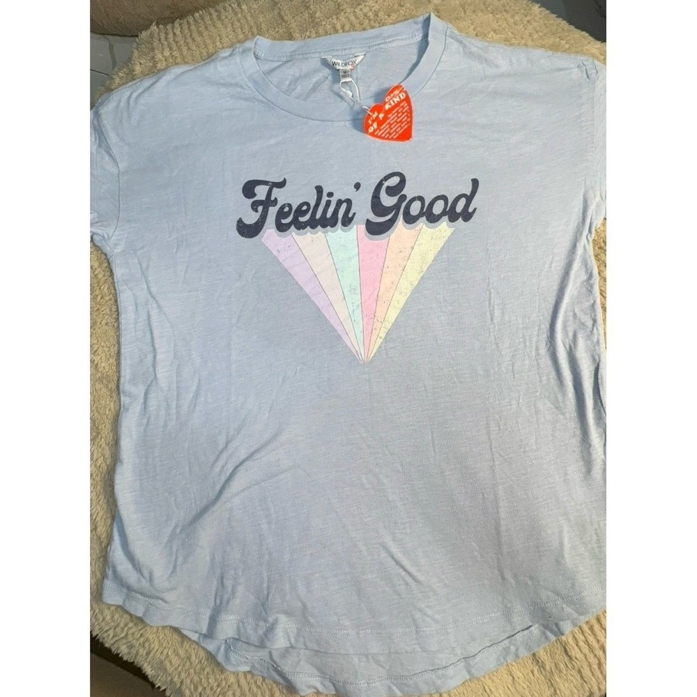 Women's size MEDIUM Wildfox loose fit periwinkle colored scoop neck Tshirt top.